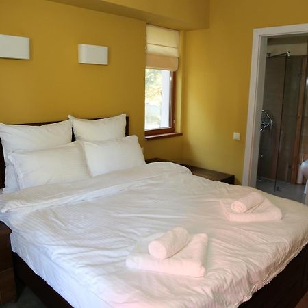 Villa Ema Panichishte Ngoại thất bức ảnh
